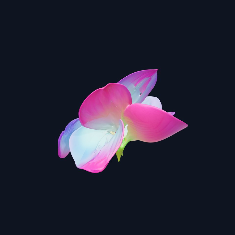 Vibrant Lotus Flower D Model Pack